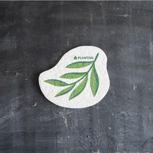 Load image into Gallery viewer, Eucalyptus Pop-Up Sponge