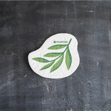 Load image into Gallery viewer, Eucalyptus Pop-Up Sponge Acorn Home + Apparel