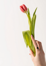 Load image into Gallery viewer, Black Onyx Ring