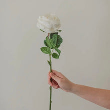 Load image into Gallery viewer, Real Touch White Rose Acorn Home + Apparel

