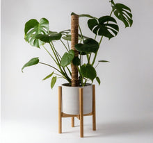 Load image into Gallery viewer, Adjustable Bamboo Plant Stand
